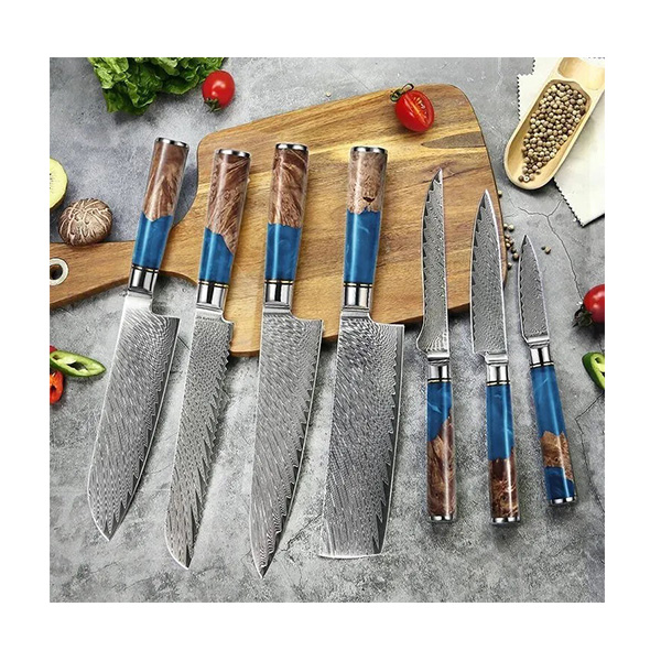 Luxury Blue Resin Handle 67 Layers Damascus Steel Kitchen Knife Set 